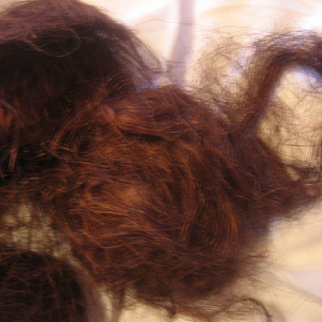 Sisal