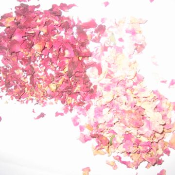 Rose Petal  Confetti